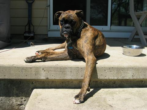 Sun tanning