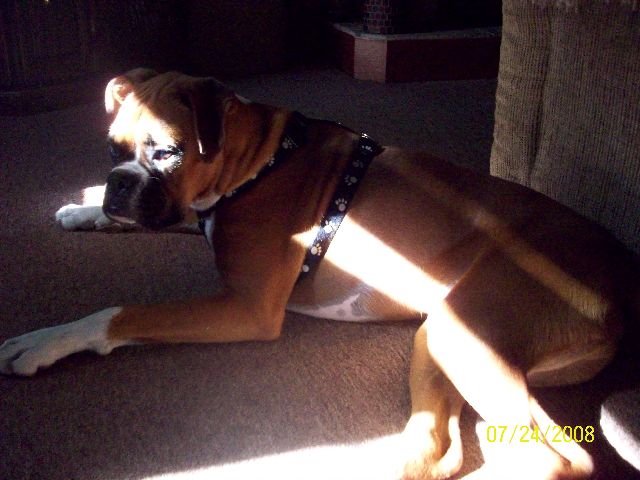 sunbather