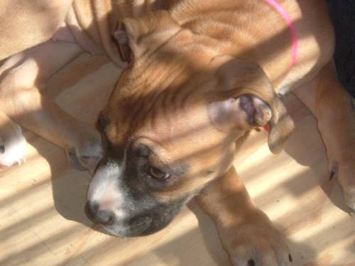 sunbathing