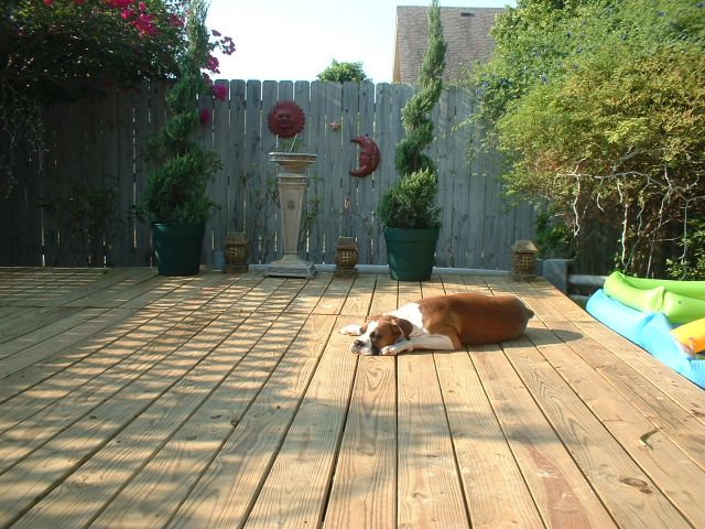 Sunbathing