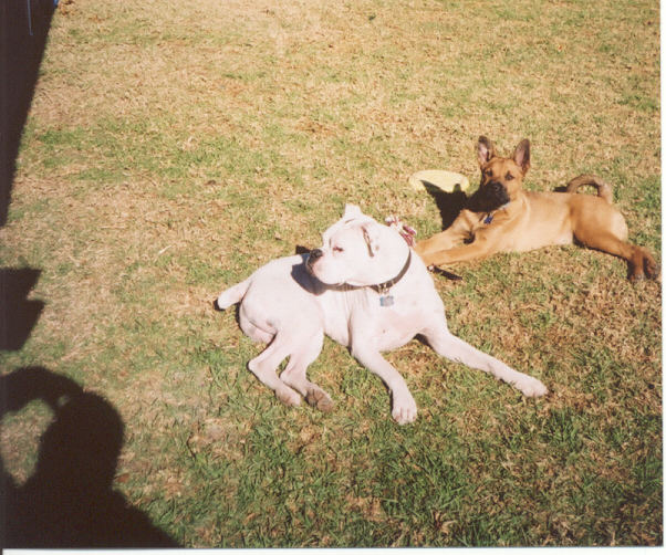 Sunbathing