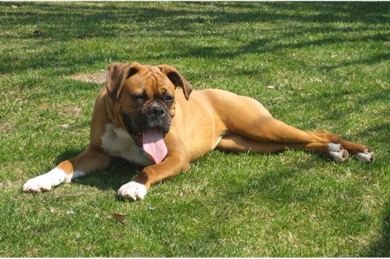Sunbathing