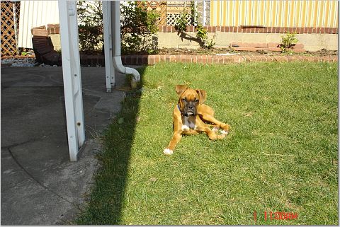 sunbathing