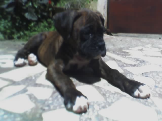 Sunbathing