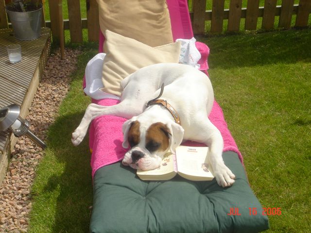 Sunbathing