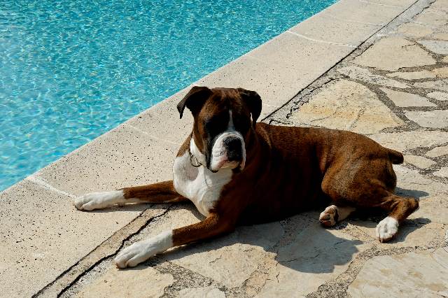 Sunbathing