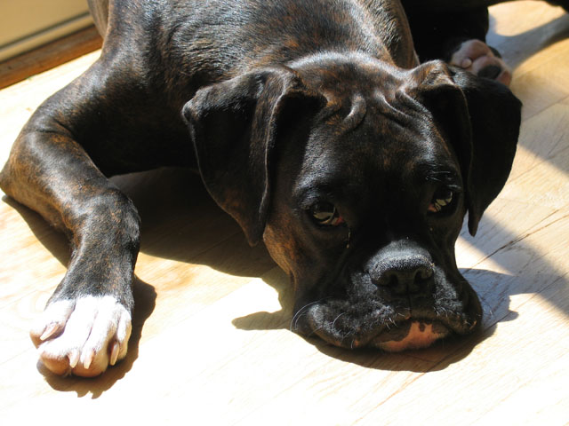 Sunbathing