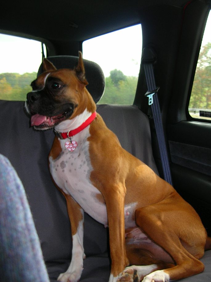Sunday Afternoon Drive