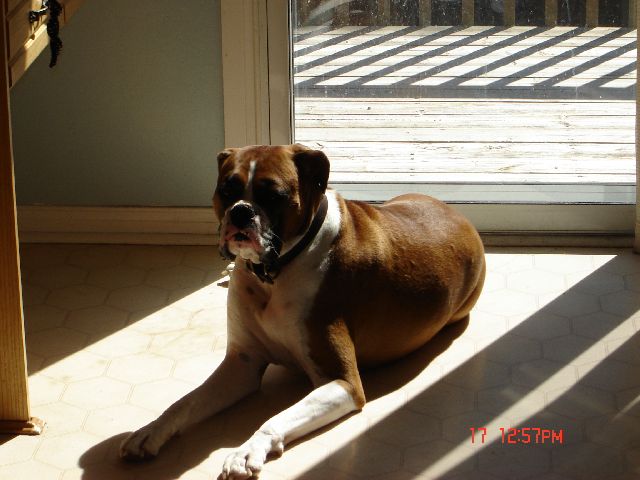 Sunning at home.