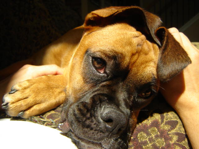 Sunning