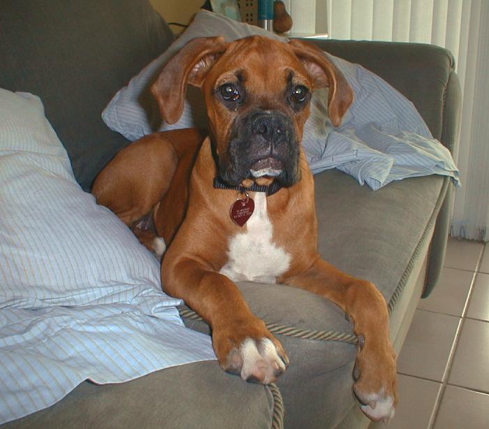 sunny at 6 months
