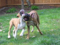 Sunny day in Seattle (finally)