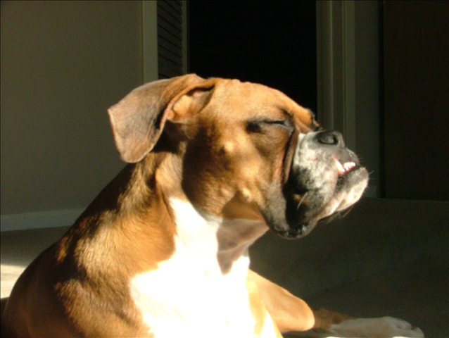 Sunshine!