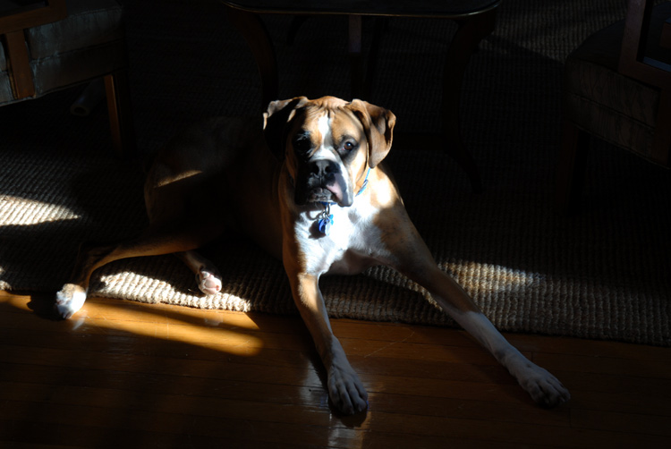 Sunshine