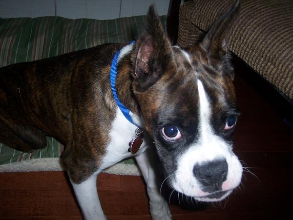 Super Cooper