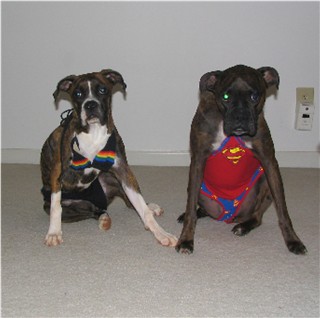 Super Dog & Rainbow Girl