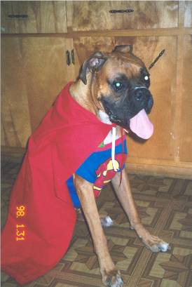 super puppy!