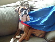 Super Rocky!!!