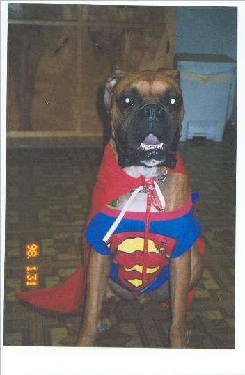 Super Tank!