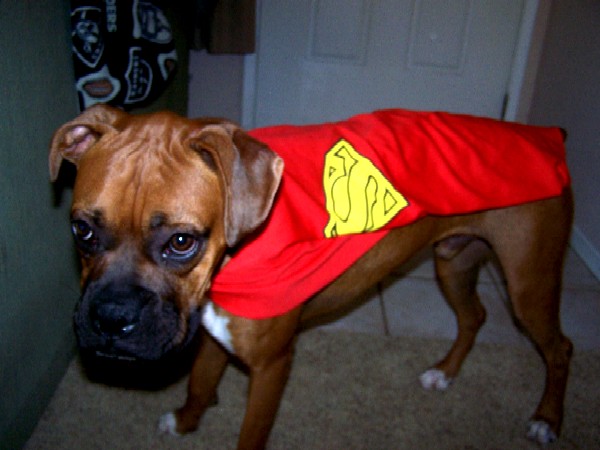SUPERdog
