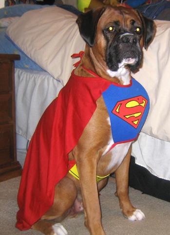SuperDukes