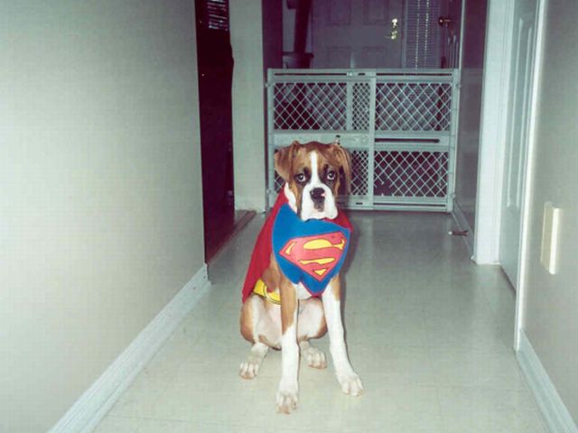SuperGazou