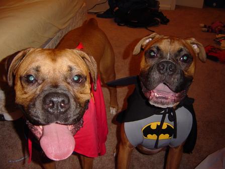 superheros