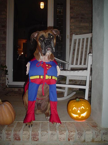 SuperMak