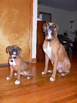 Supermodel Babies