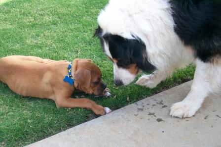 Sure, I'll share with you!
