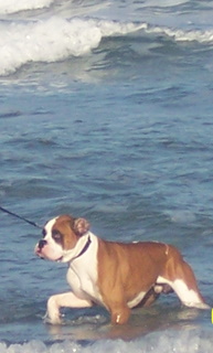 SURFS UP!!!!