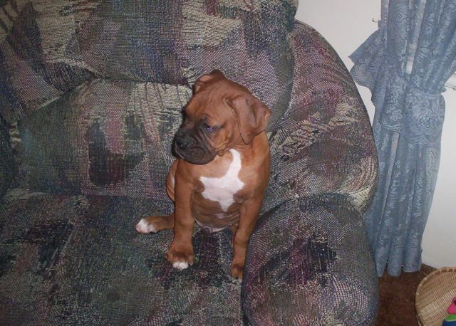 Surroundings seem to be O.K!