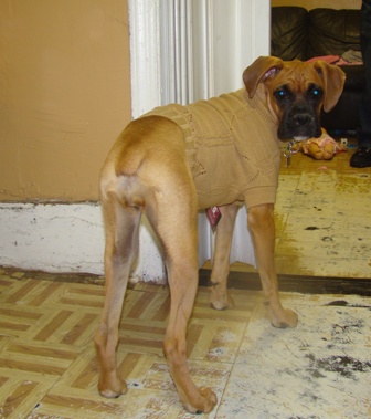 Sweater Time