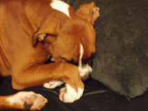 Sweet baby