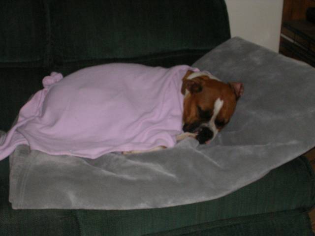 Sweet baby