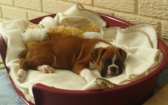 Sweet dreams baby