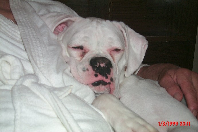Sweet dreams, cuddly girl!