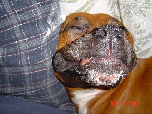 sweet dreams...