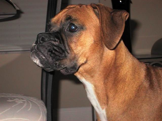 Sweet girl!