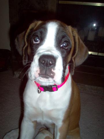 sweet girl