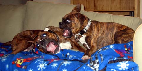 Sweet girls at play