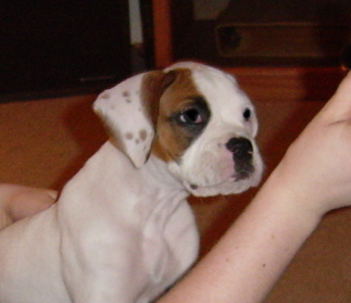 Sweet little face