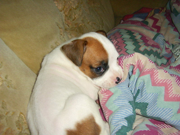 Sweet little girl!