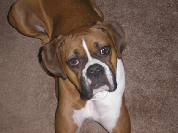 Sweet Roxy!