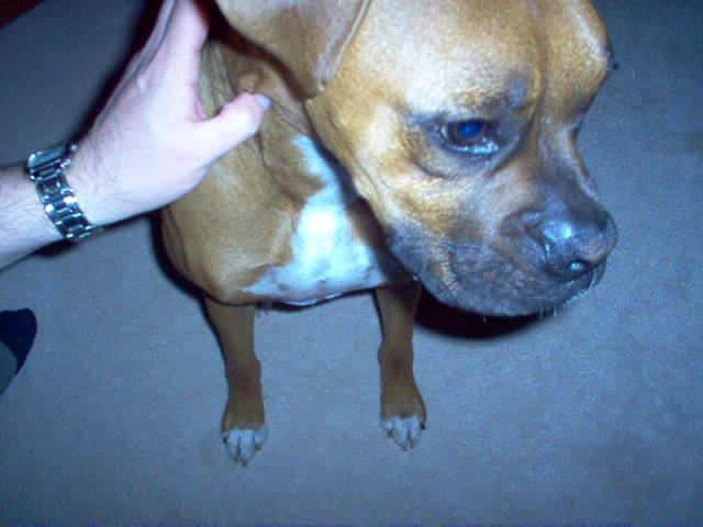 Sweet Sammie