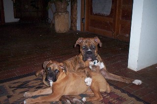 Sweethearts