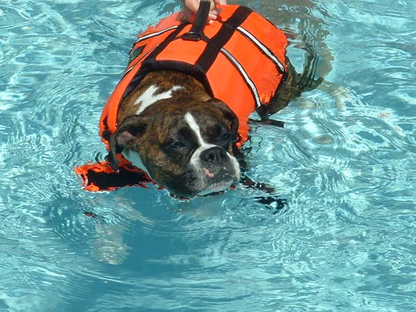 Swim Cyndal Swim