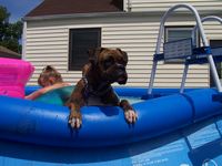 Swimmin' Pool!!