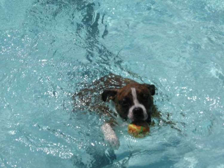 Swimmin