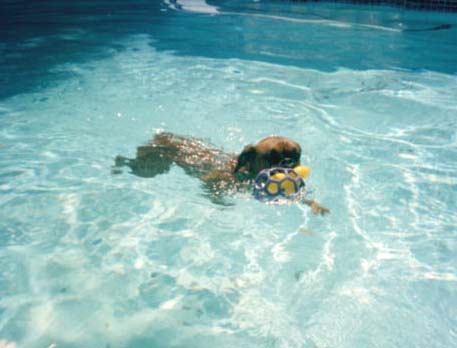 Swimming Girl